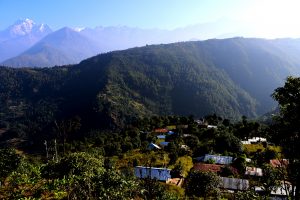 आफ्नै गाउँको यात्रा