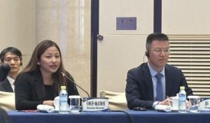 चीनको विकास चिनियाँ कथामात्र हैन